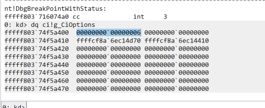 windbg CiOptions